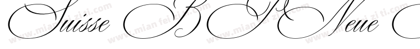 Suisse BP Neue Regular字体转换